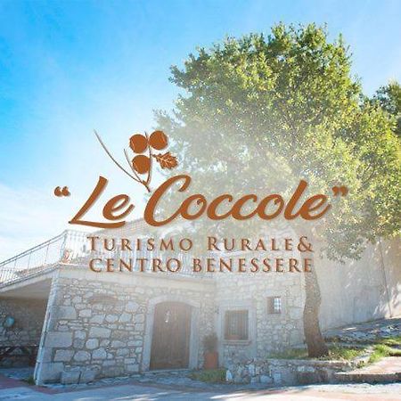 Le Coccole Villa Guardiaregia ภายนอก รูปภาพ